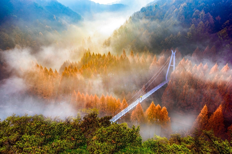 Jangtaesan Natural Forest in Daejeon (KTO's Photo Korea, Lee Beom-soo)