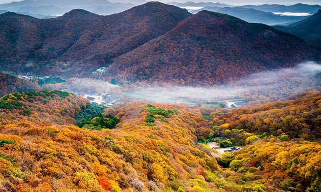 Five great spots nationwide to see colorful fall foliage