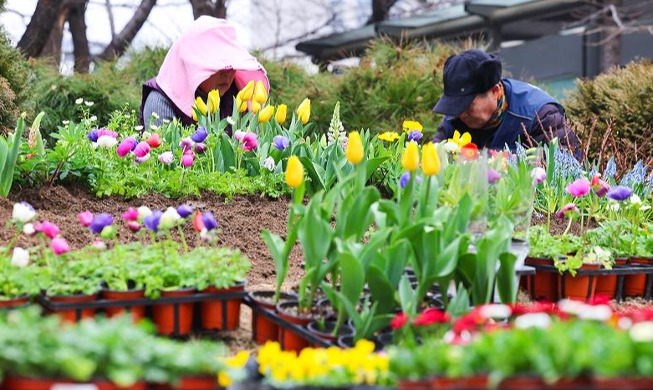 Busily preparing flower beds for spring